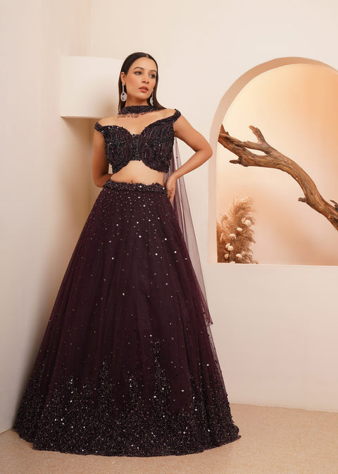 Sequins Detailed Burgundy Lehenga Set For Party Wear (D354)